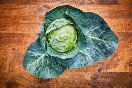 Spitzkohl