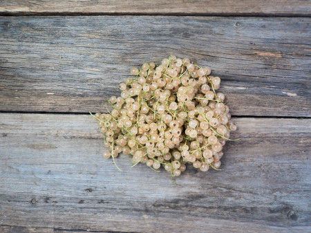 Bio Johannisbeeren weiss
