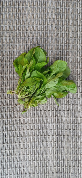 Bio Ruccola