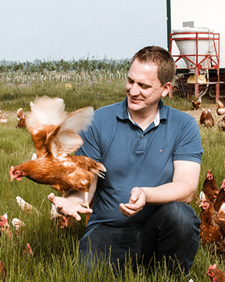 Borchelhof GmbH & Co KG}