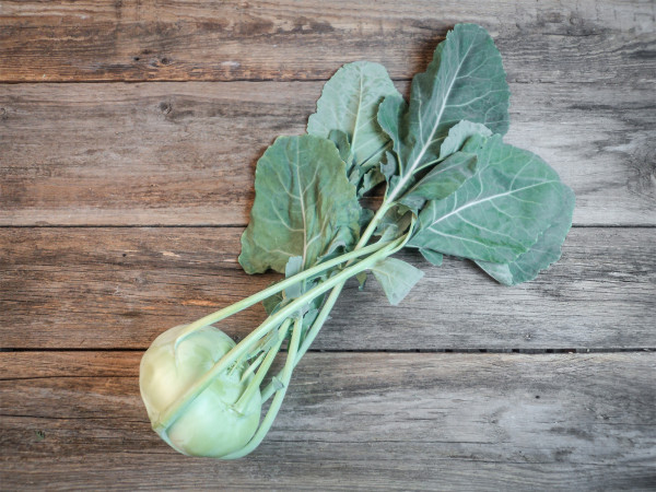 Bio Kohlrabi