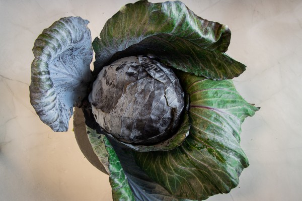 Rotkohl