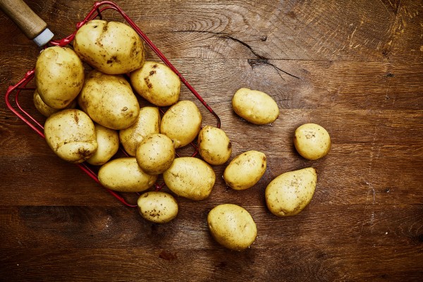 Kartoffeln Gala (mehlig)