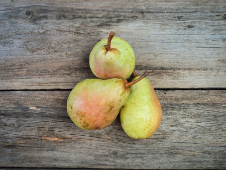Birne Clapps Liebling